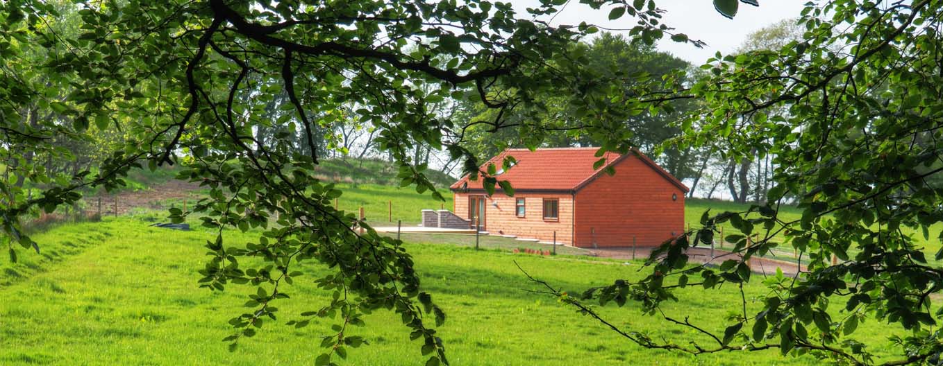 Cabin From The Wood